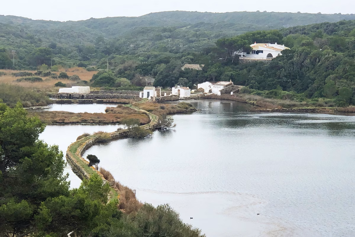 Nou retrocés governamental en medi ambient