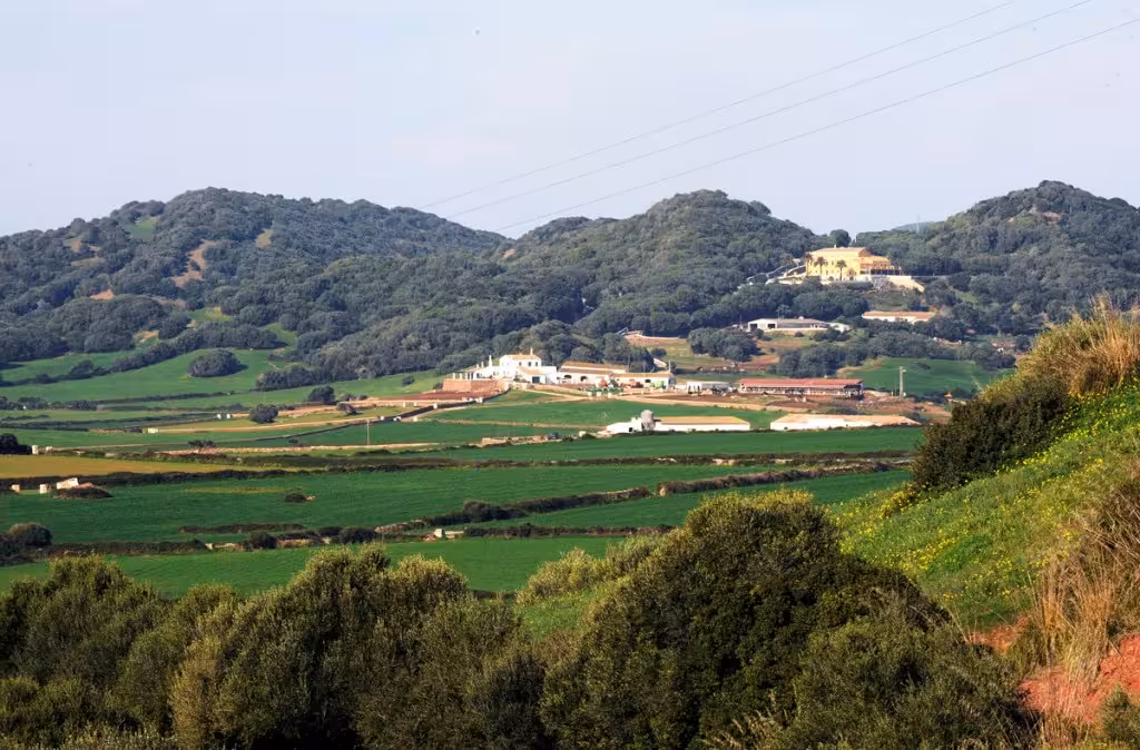 Tres entidades piden al Consell que restrinja el alquiler turístico en rústico