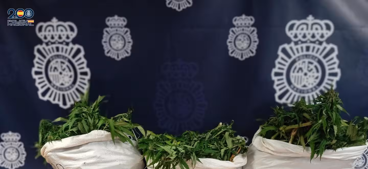 La Policía Nacional incauta 18 kilos de marihuana en una azotea de Ciutadella