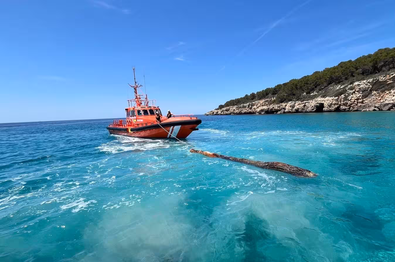 (Fotos) Salvamento Marítimo retira un enorme tronco flotante frente a Binigaus
