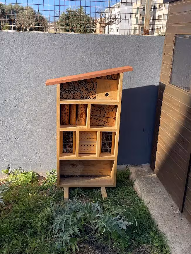 Ciutadella impulsa la biodiversidad con la instalación de dos hoteles de insectos en colegios