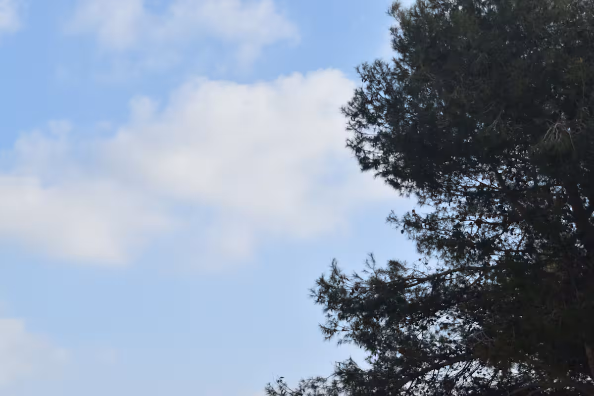 Menorca empieza la semana con cielos poco nubosos y ascenso de las temperaturas