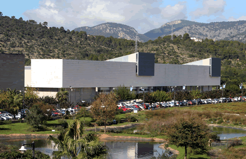 La UIB impartirá Ciencias de la Actividad Física el curso que viene, con 35 plazas