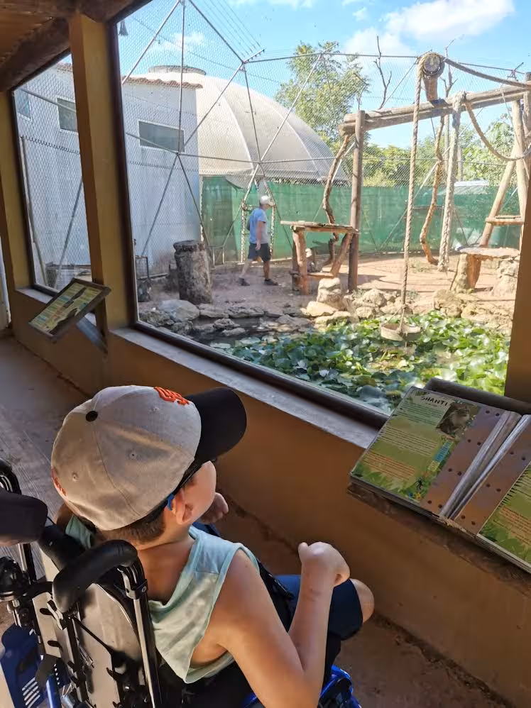 Conoce DiversiLloc Terapias: el nuevo refugio terapéutico en el Lloc de Menorca