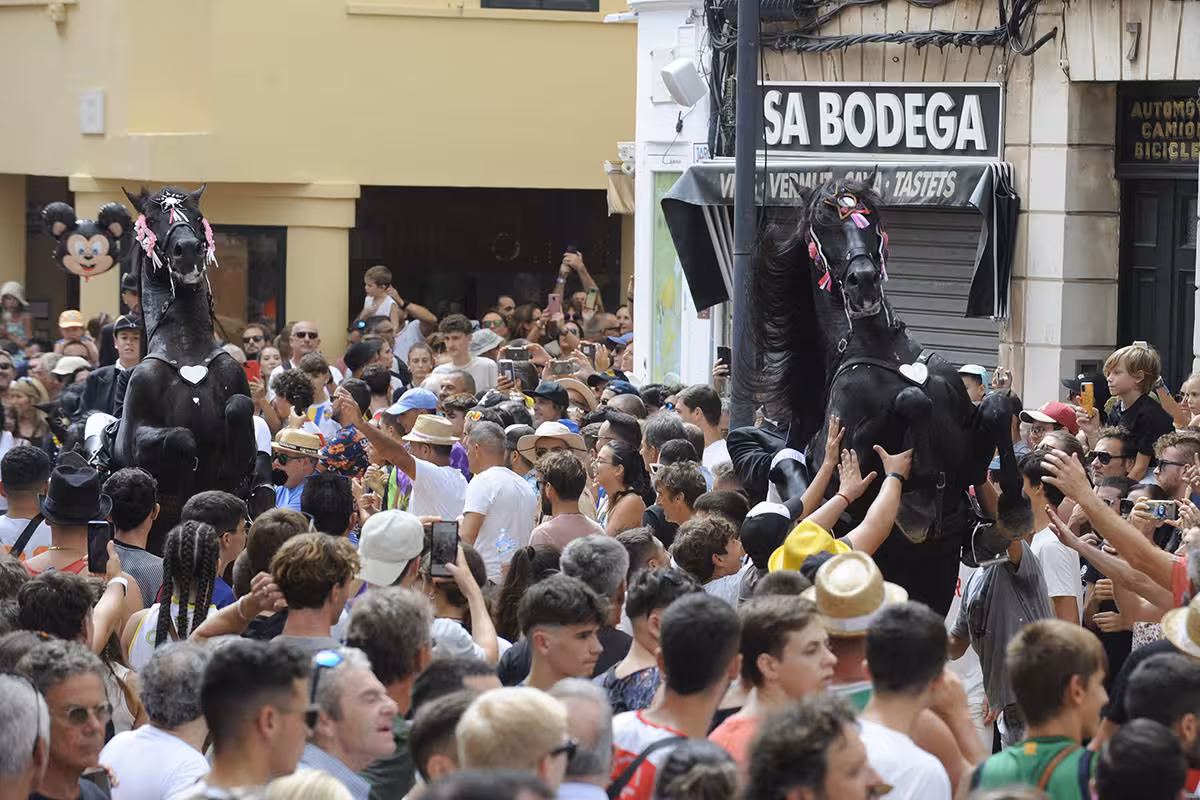 Descubre dónde ver el jaleo online esta noche