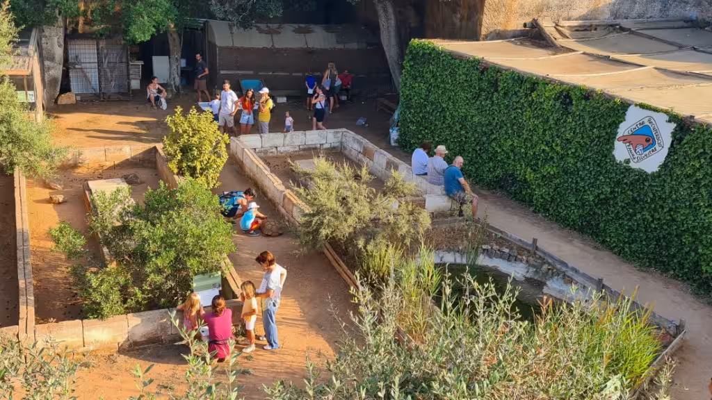 Puertas abiertas en el Centro de Recuperación de Fauna Silvestre de Menorca