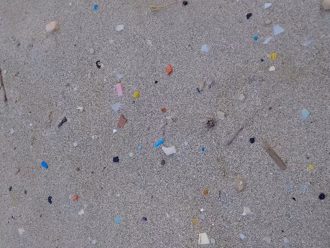 El Mediterráneo, camino de convertirse en "una sopa de microplásticos"