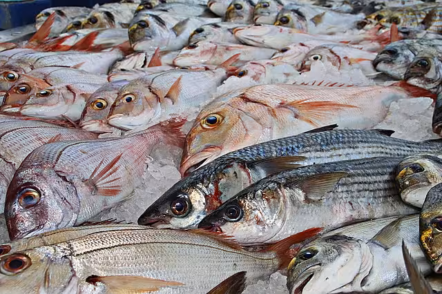 Sardina, boquerón, besugo y calamar, entre los pescados con menos mercurio