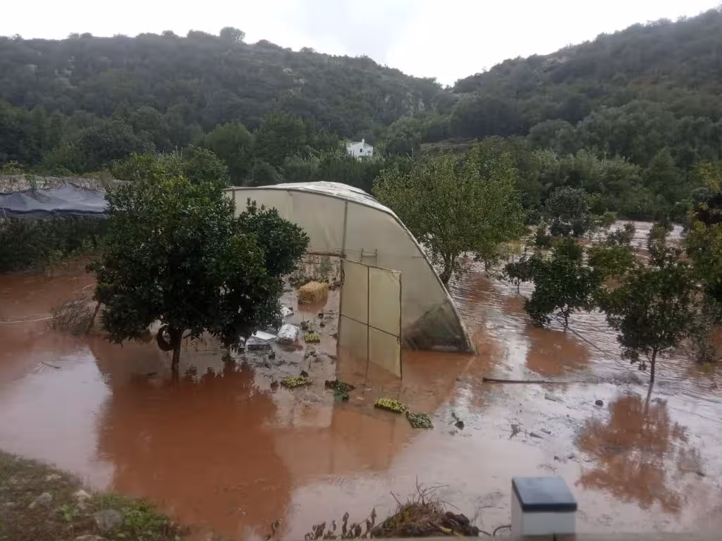 Payeses de Menorca denuncian falta de información sobre ayudas a afectados por la DANA