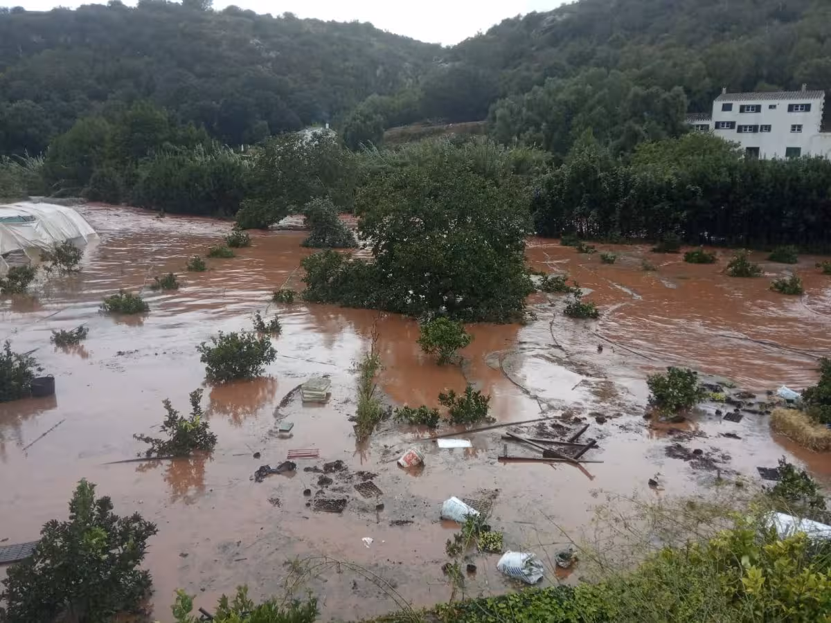 Càritas Menorca pide iniciar urgentemente el mantenimiento del Barranco de Algendar