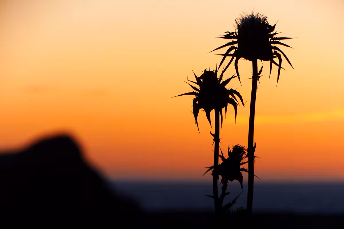 Vuelve el calor este fin de semana con máximas de 37 grados