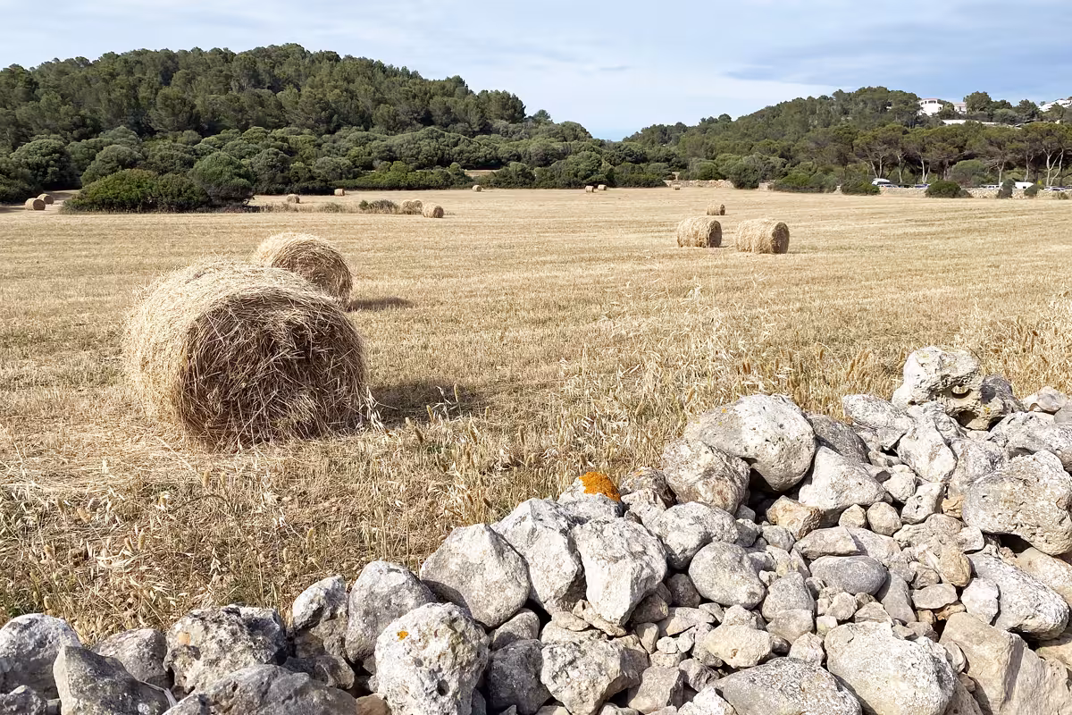 Miércoles con cielos nubosos y máximas de 28 grados en Menorca