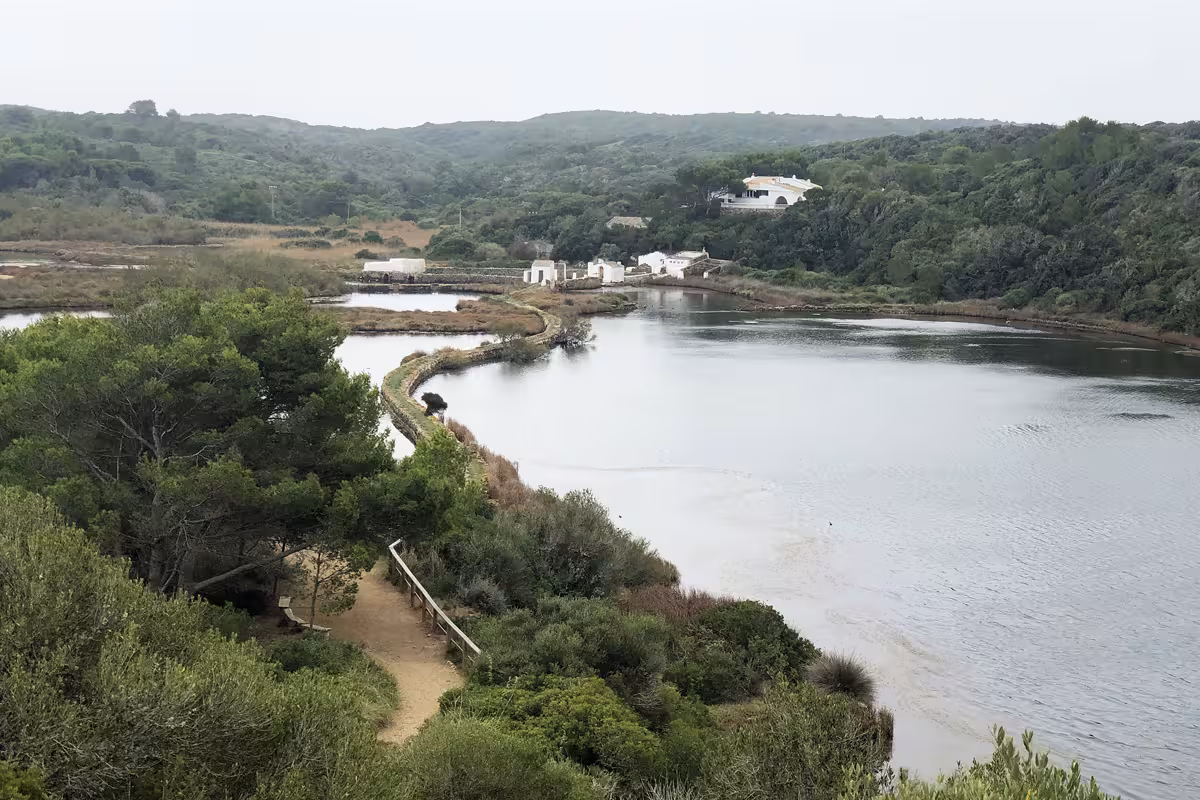 S'Albufera des Grau y la costa este de Menorca tendrán un plan de gestión este lunes