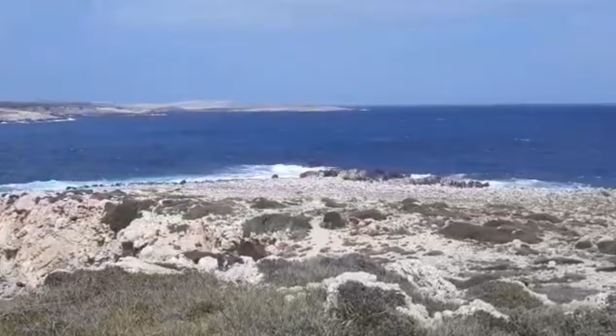 (Vídeo) Se enfría la primavera