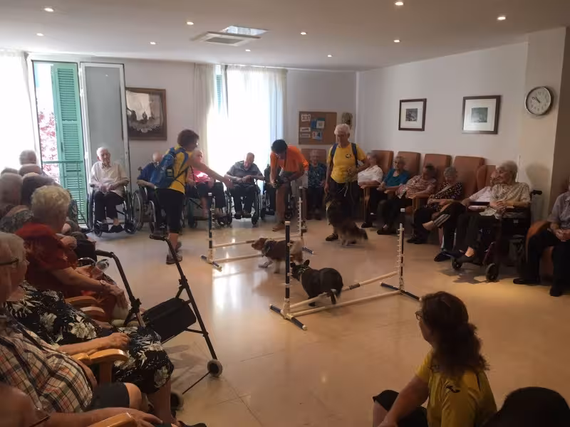 Detectado un positivo de Covid-19 entre los residentes del Geriátrico de Alaior