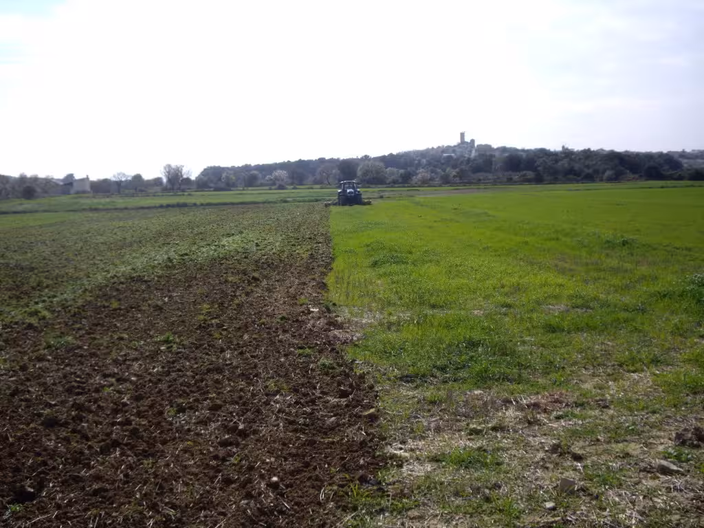 El FOGAIBA ejecuta el pago de 5,3 millones de euros del PDR en una semana