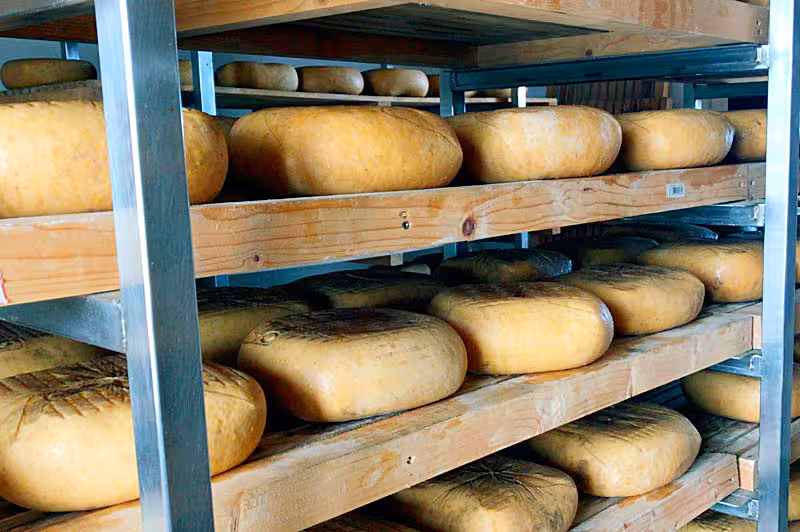 El queso con DO Mahón-Menorca estará protegido en China