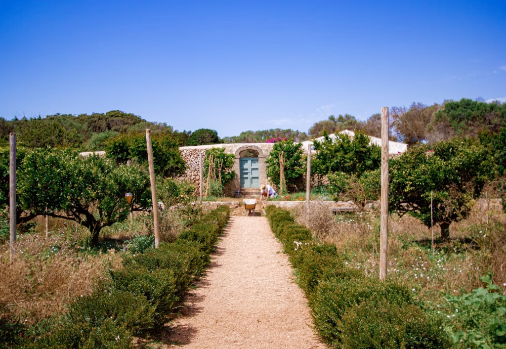 El GOB anuncia su primera excursión del 2024: la finca de Binissaida des Barrancons