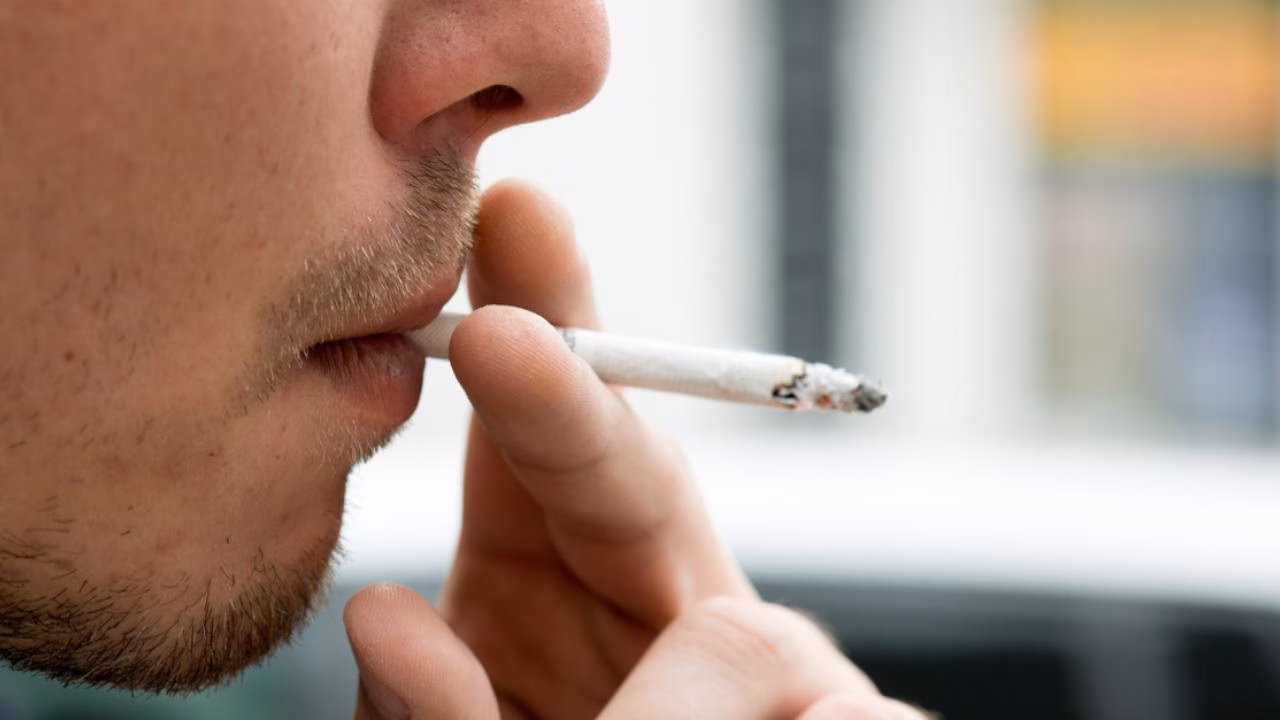 La ONG Nofumadores presenta 188.000 firmas para prohibir fumar en las terrazas