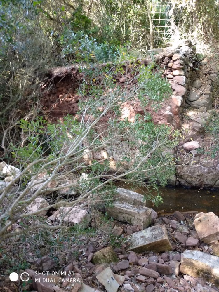 Amics del Camí d'en Kane critica los presupuestos del Consell para 2024