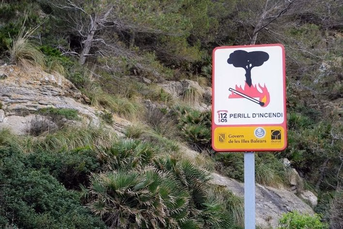 El potencial del sector forestal de Menorca: 500 empleos y 24'5 millones de euros de rentas