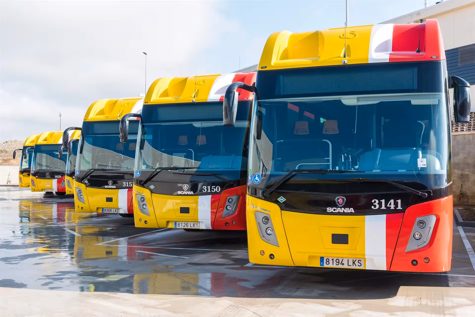 Autobuses del TIB.