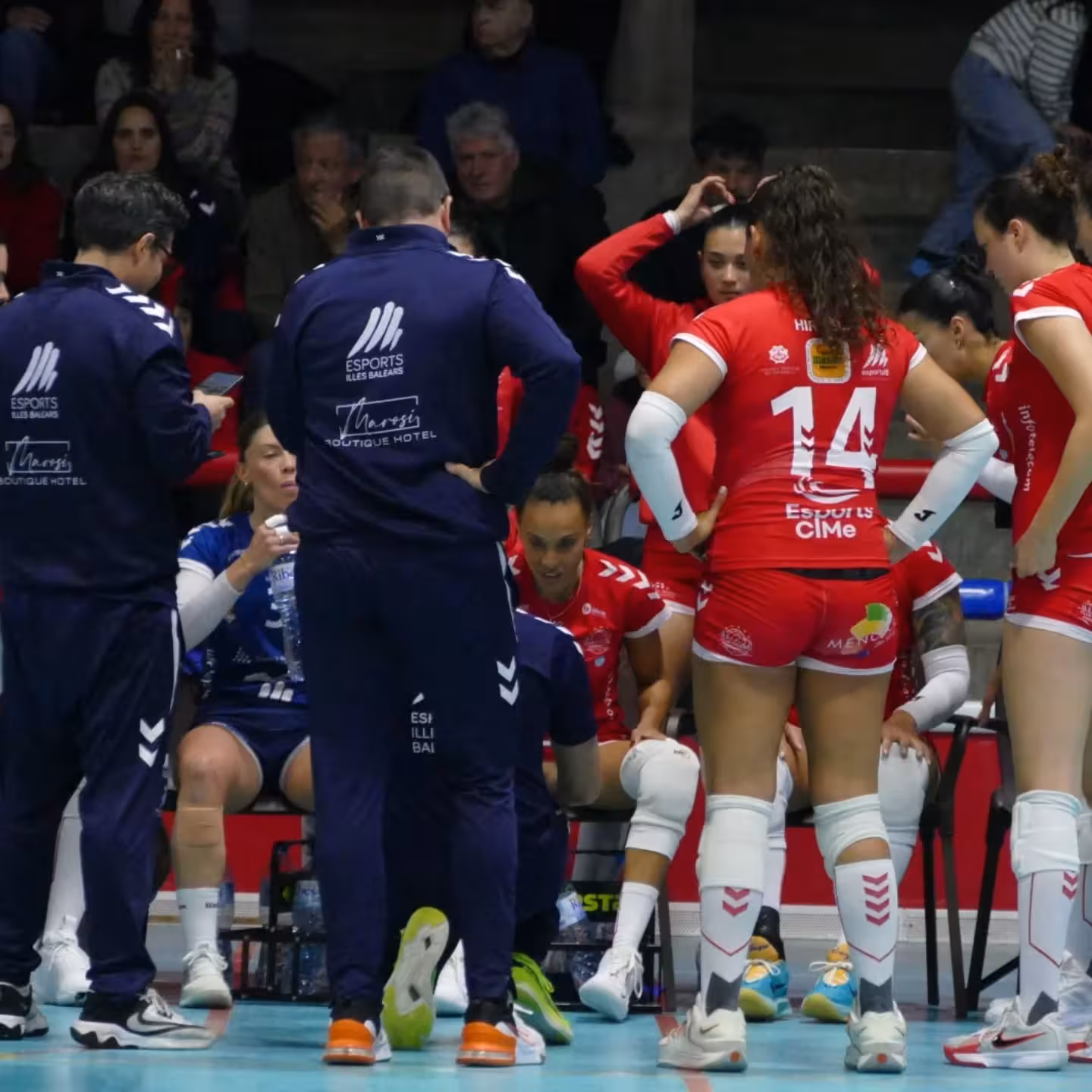 El Avarca Menorca jugaba esta tarde en casa, donde no había perdido ningún partido (Foto: CV CIUTADELLA)