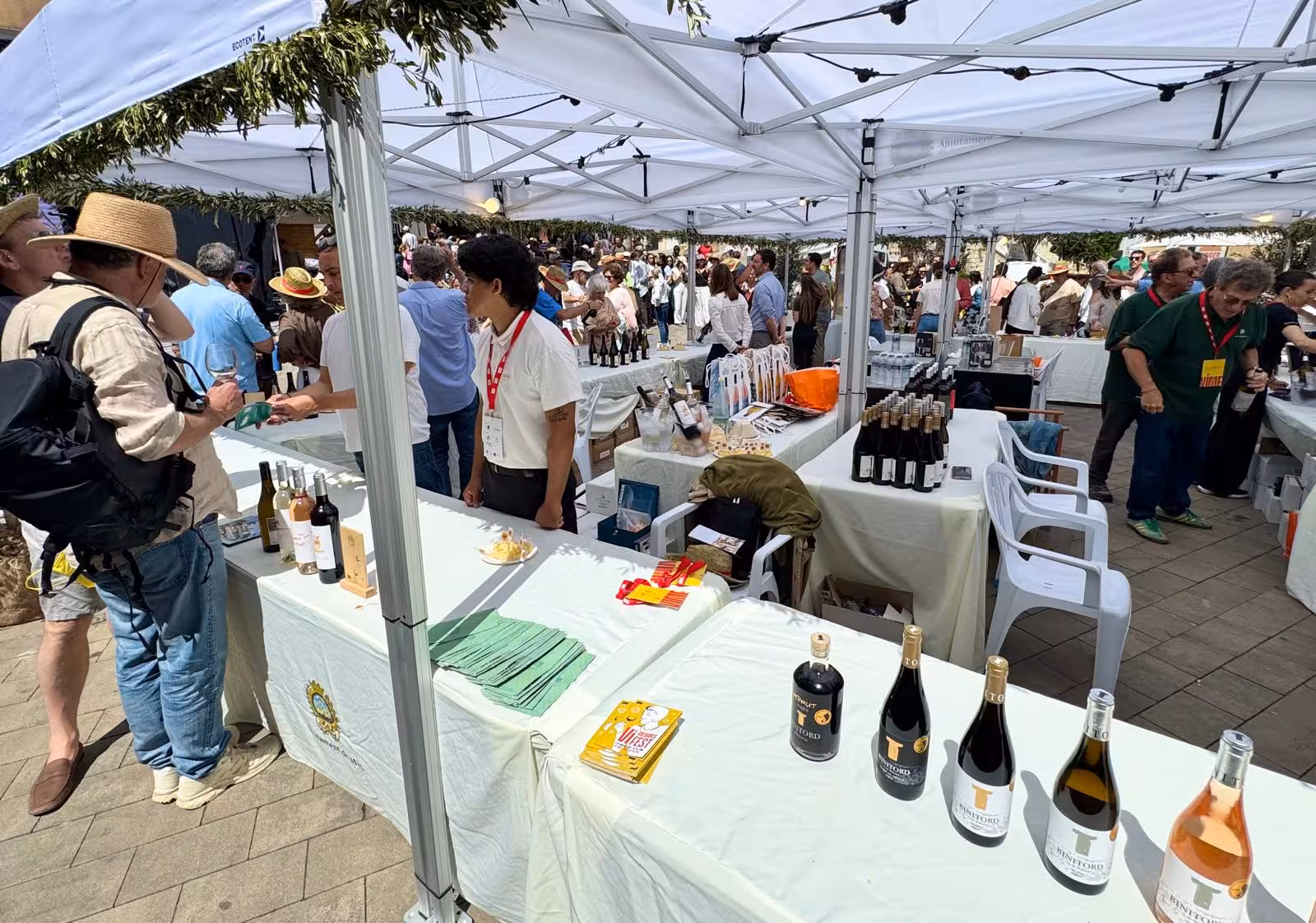 Imagen 3 de 10