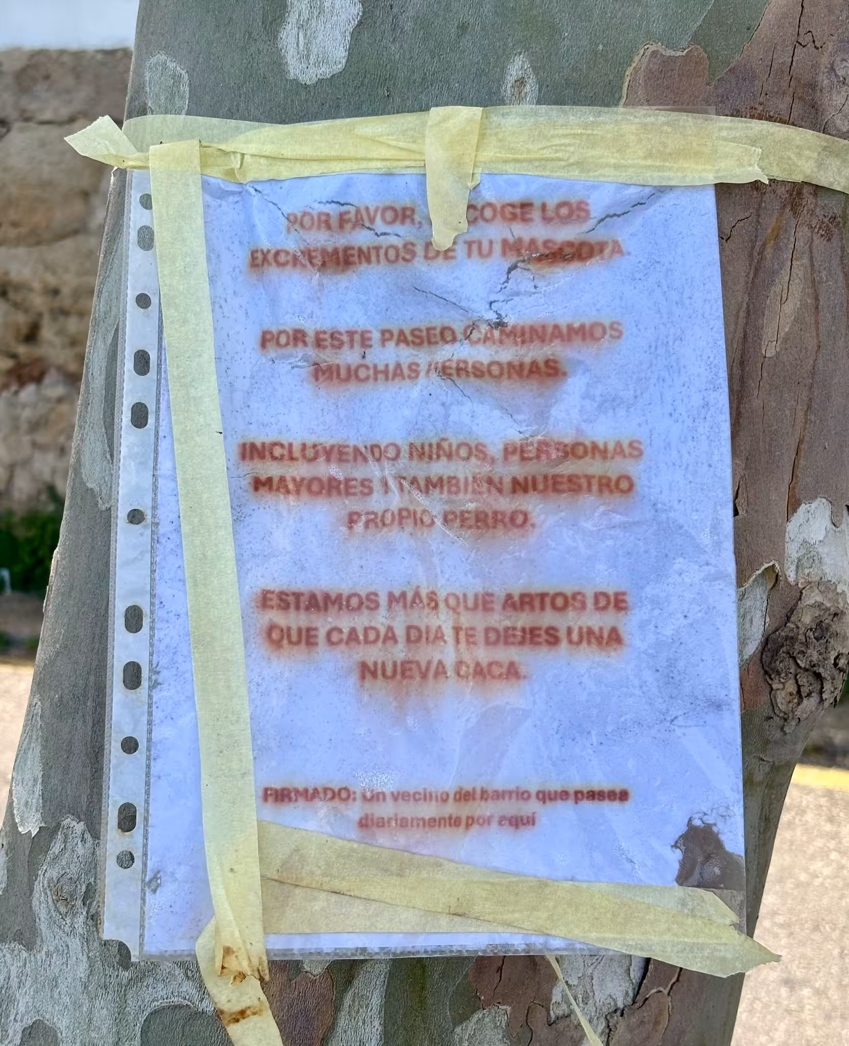 Fotografía del cartel colgado en el árbol.