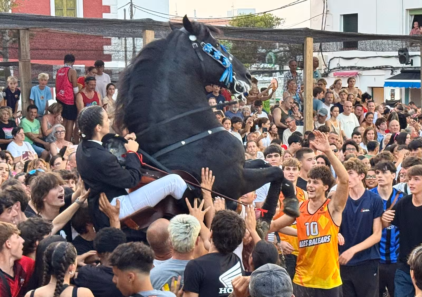 Imagen 5 de 12