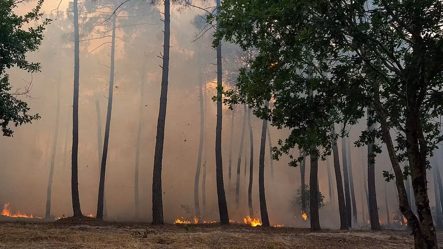 Incendio en Burdeos.