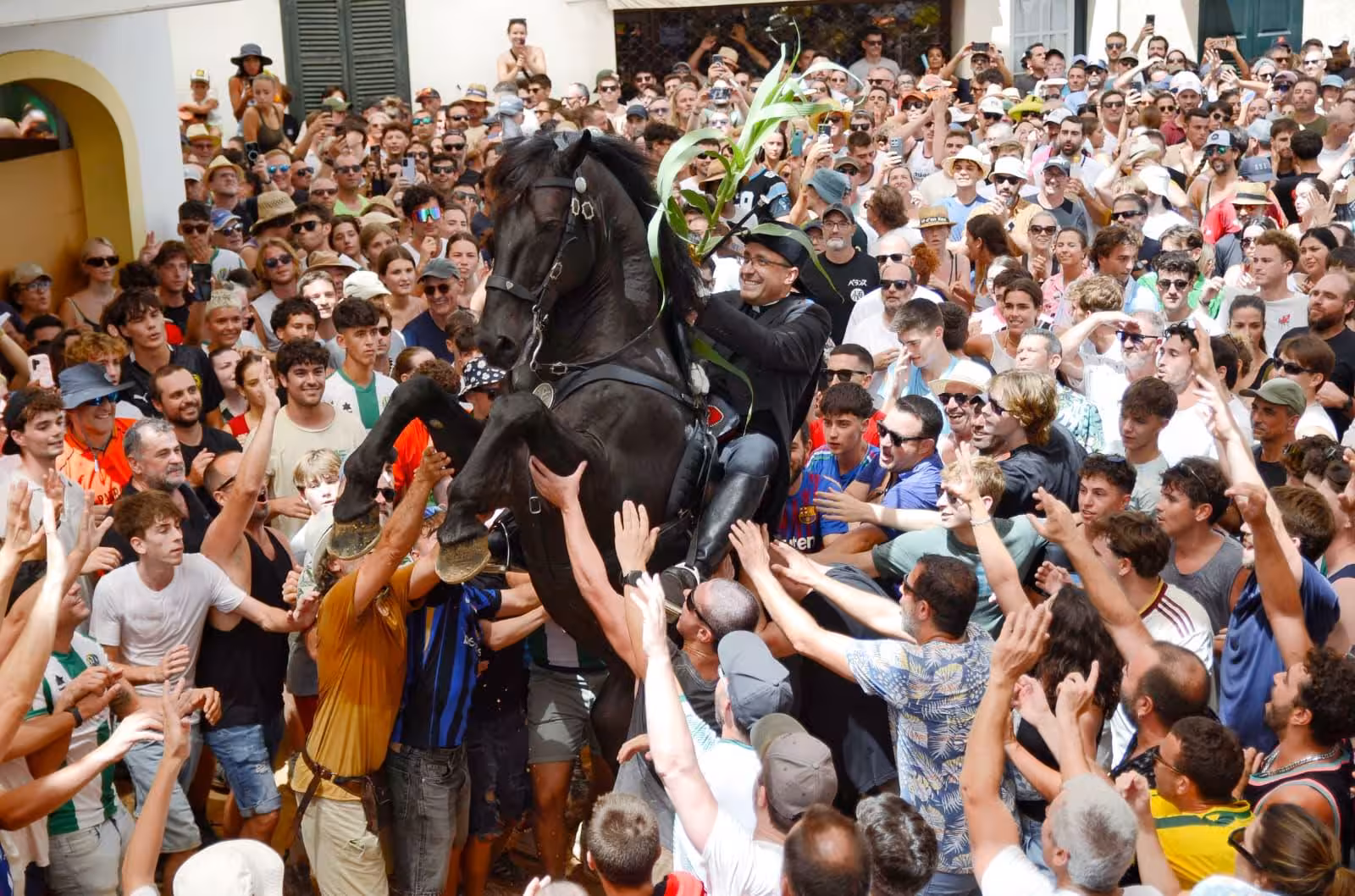 Imagen 8 de 8