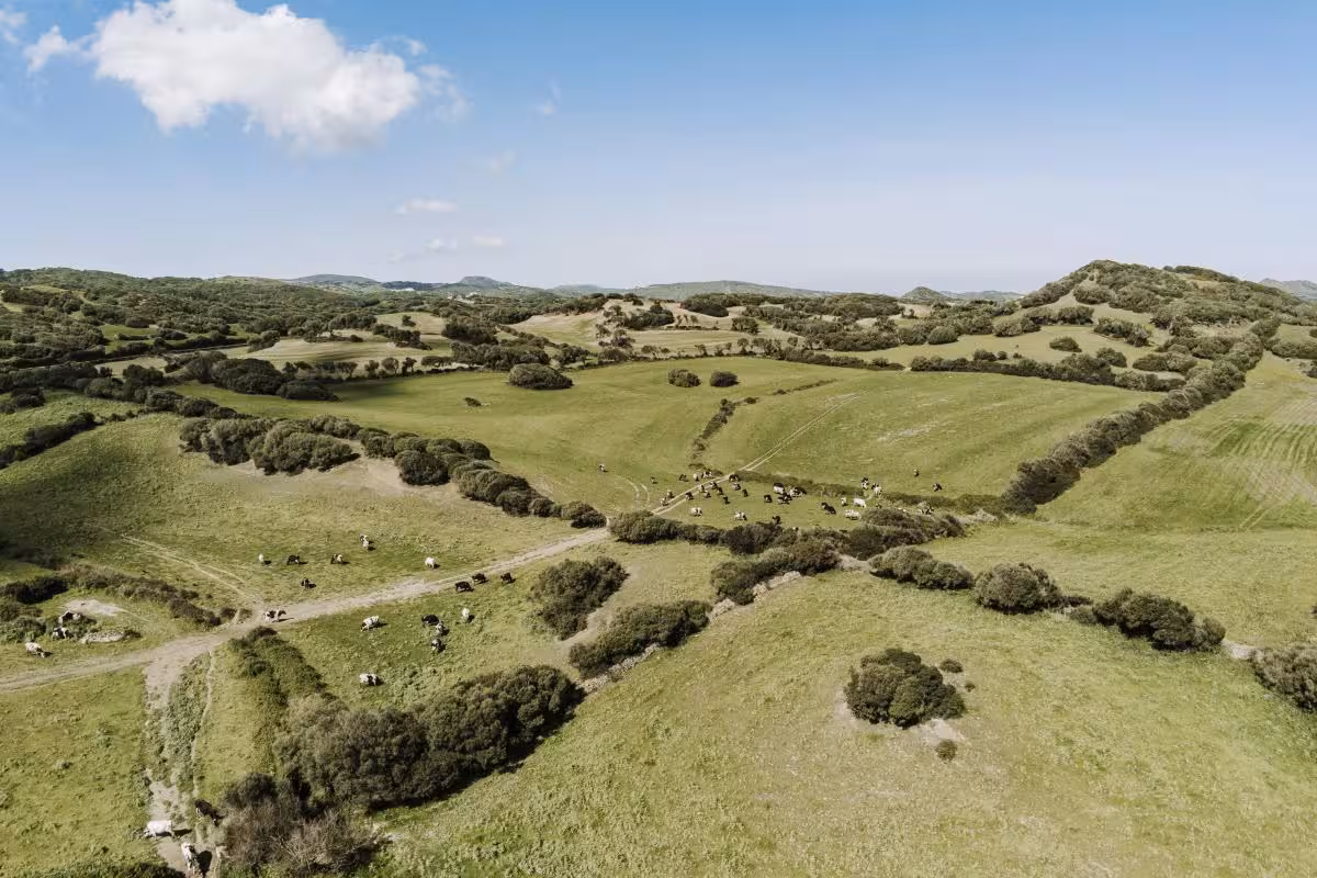 Consell y Gob apuestan por preservar el campo de Menorca. (Foto: CIME)