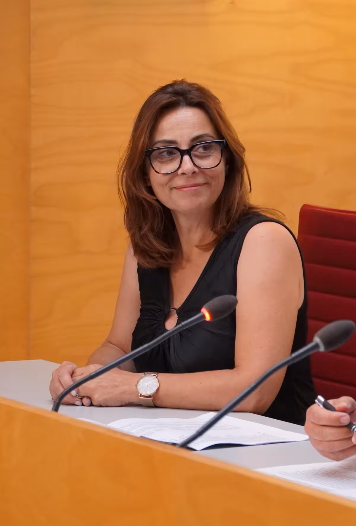 Maria Antònia Taltavull, consellera insular de Economía. (Foto: CIME)