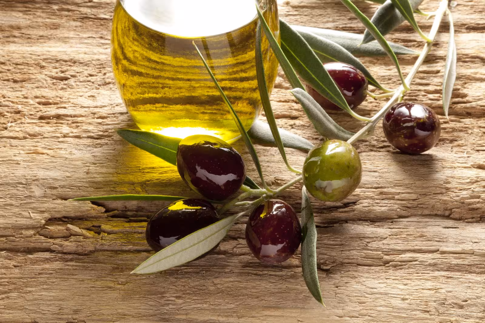 Aceite de Menorca.