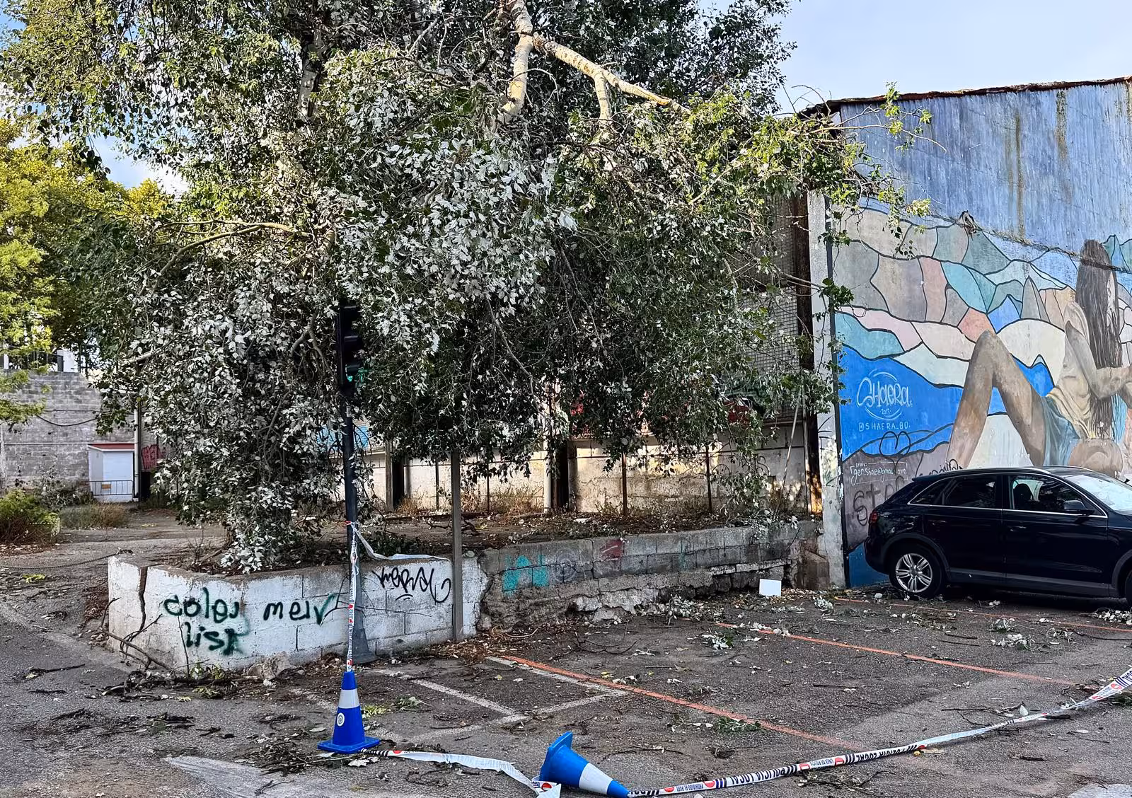Imagen del Parc d'Es Freginal de Maó. (Fotos: TOLO MERCADAL)