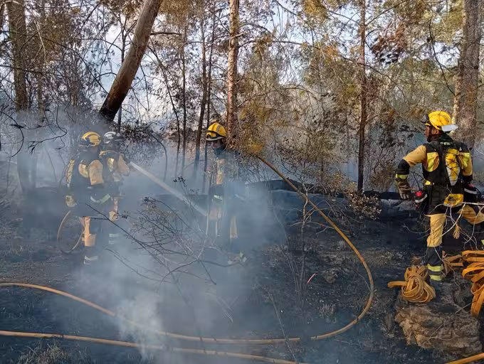 Imagen de archivo de un incendio forestal en Balears.