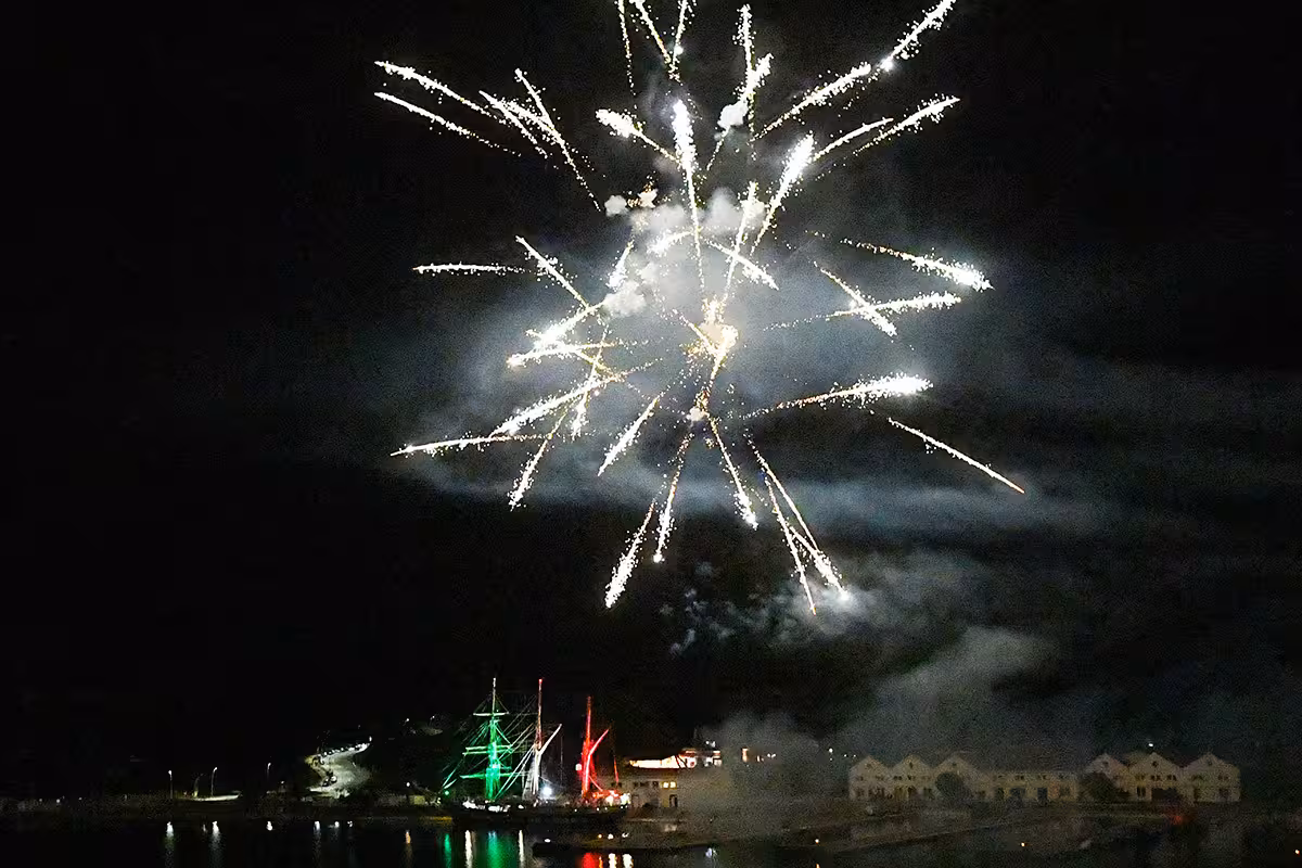 Imagen 9 de 14