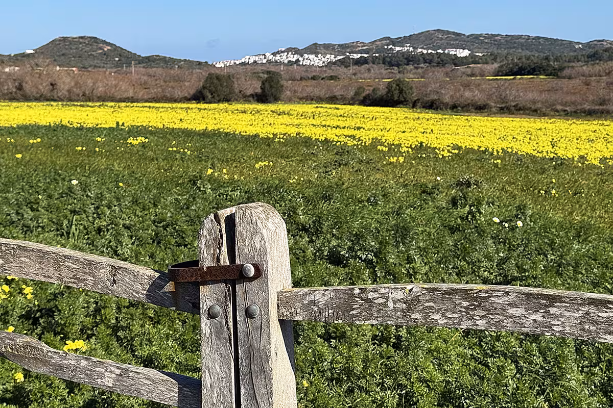 Menorca ofrece paisajes naturales sin par.
