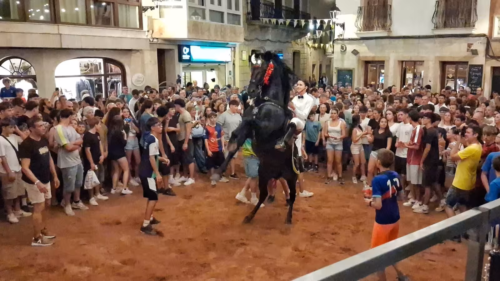 Los caballos botan por última vez este fin de semana en Alaior. (Fotos: SERGIO MORENO)