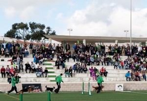 El II Torneo Especial San Miguel puntúa para en la liga balear de Agility.