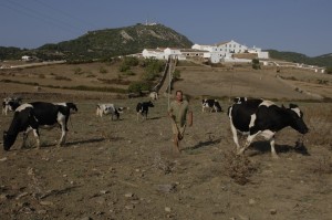 El sector primario es el que mejor se está comportando en 2014.