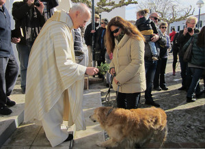 Bendición de animales en Sant Lluís.