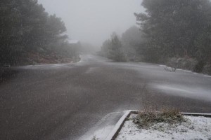 La nieve cayendo en S'Enclusa (Fotos: Tomeu Mir)