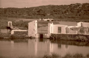 Parc natural de s'Albufera des Grau