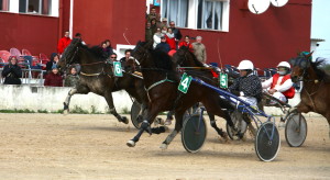 Sacares, en acción (Foto: Carlos Orfila).