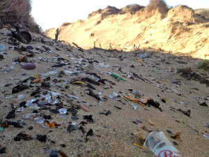 Imagen de la playa de Tirant con los cristales (Foto: Entesa)