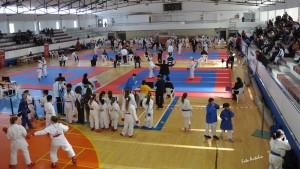 Foto Karate 9 3 2015