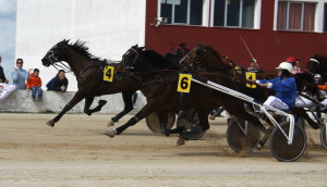 Tifany Llinaritx (Foto: Carlos Orfila)