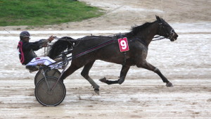 Ruy Blas en acción (Foto: Carlos Orfila)